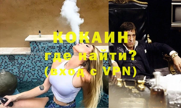 сатива Вязники